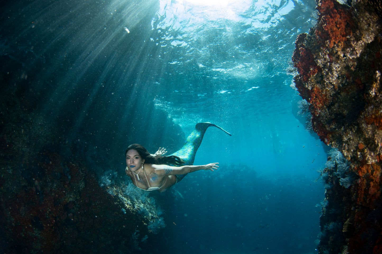 5" * & 7" mermaid fine art photo prints